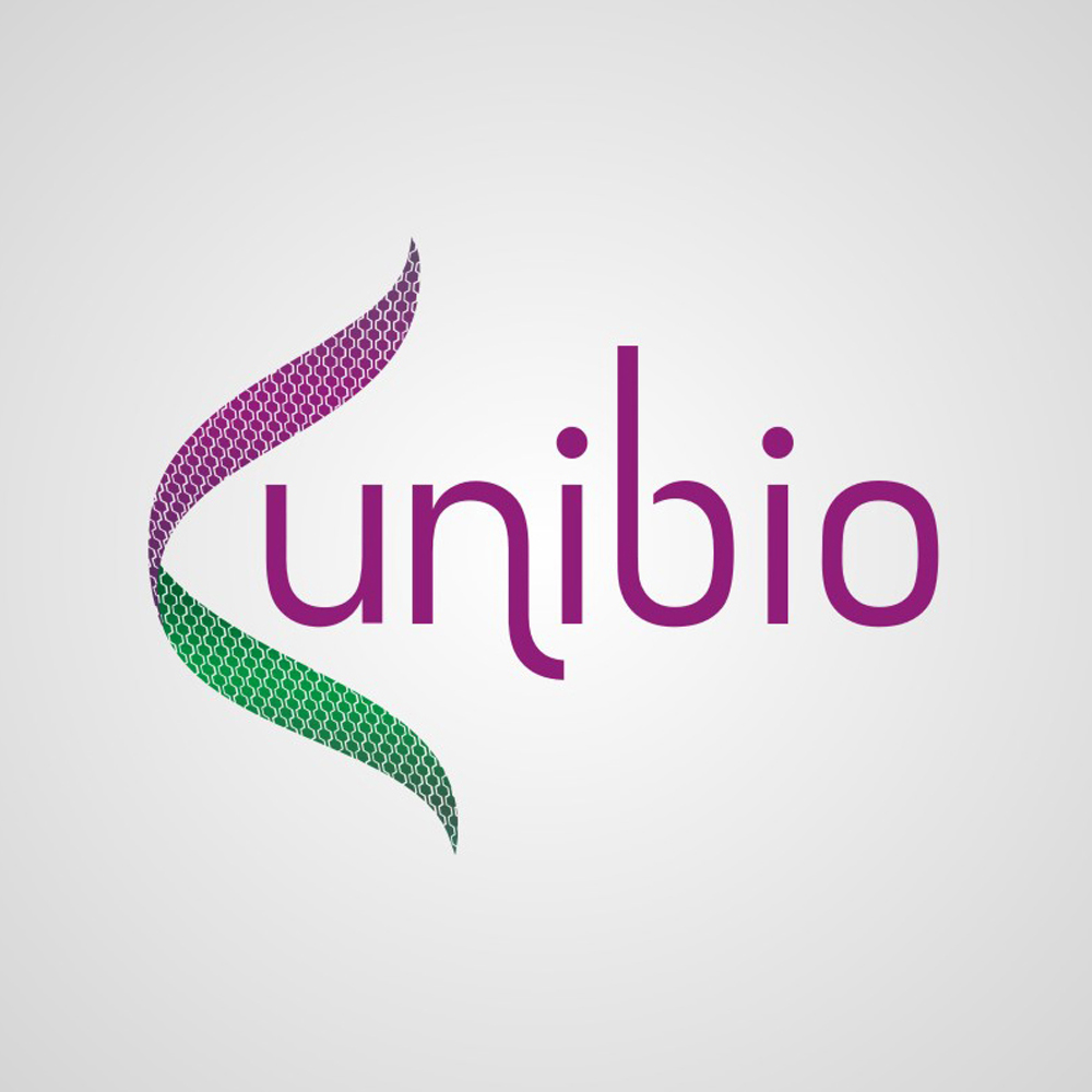 Brand Identity 7