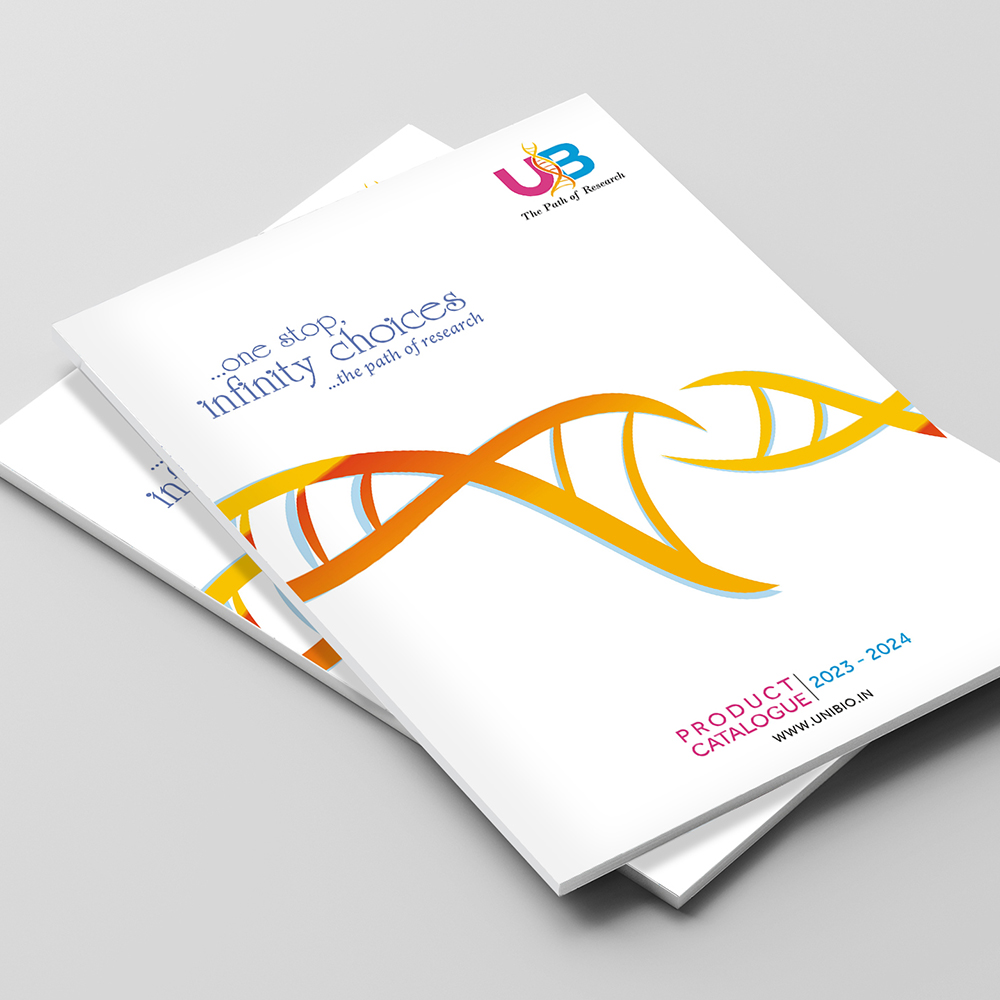 Brochure 11